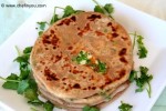 Paneer Paratha Special at DesiRecipes.com