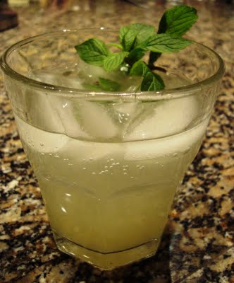 Lemon Ice Refreshner recipe at DesiRecipes