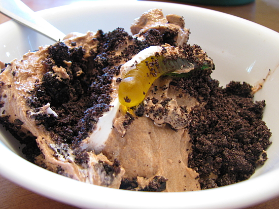 Dirt Pudding recipe at DesiRecipes