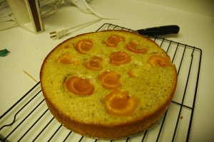 Pista Cake at DesiRecipes.com