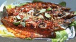 BBQ FISH at PakiRecipes.com