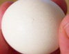 Eggs Crack